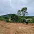 ขายที่ดิน ใน สาคู, ภูเก็ต, สาคู, ถลาง, ภูเก็ต