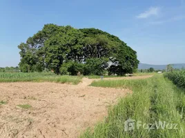  Land for sale in That Thong, Phu Khiao, That Thong