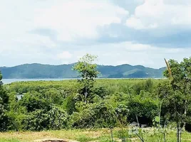  Grundstück zu verkaufen in Thalang, Phuket, Thep Krasattri