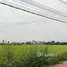  Земельный участок for sale in Khlong Khwang, Нонтабури, Khlong Khwang, Sai Noi