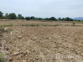 ขายที่ดิน ใน หนองสว่าง, เพชรบูรณ์, หนองสว่าง, หล่มสัก, เพชรบูรณ์, ไทย