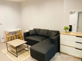 อพาร์ทเม้นท์ 1 ห้องนอน ให้เช่า ในโครงการ ไลฟ์ สุขุมวิท 62, บางจาก