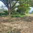  Land for sale in Chai Sathan, Chiang Mai, Chai Sathan, Saraphi, Chiang Mai