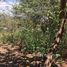  Land for sale in Hojancha, Guanacaste, Hojancha