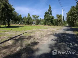 ขายที่ดิน ใน น้ำแพร่, เชียงใหม่, น้ำแพร่