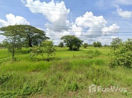  Terreno (Parcela) en venta en Nakhon Phanom, Fang Daeng, That Phanom, Nakhon Phanom