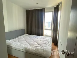 คอนโด 1 ห้องนอน ให้เช่า ในโครงการ เดอะ เบส สุขุมวิท 77, พระโขนงเหนือ