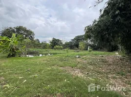  Grundstück zu verkaufen in Yu Wa, Chiang Mai, Yu Wa, San Pa Tong, Chiang Mai