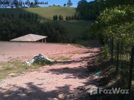  Terreno for sale in Fernando de Noronha, Rio Grande do Norte, Fernando de Noronha, Fernando de Noronha