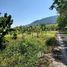  Земельный участок for sale in Pa Khlok, Пхукет, Pa Khlok