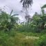  Terreno (Parcela) en venta en Surat Thani, Ang Thong, Koh Samui, Surat Thani