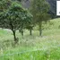 在Azuay出售的 土地, Tarqui, Cuenca, Azuay