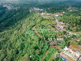  Land for sale in Indonesia, Kintamani, Bangli, Bali, Indonesia