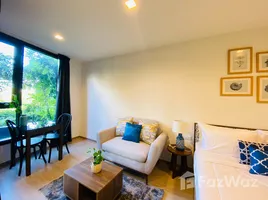 Appartement 1 chambre à louer à THE BASE Central Phuket, Wichit, Phuket Town, Phuket, Thaïlande