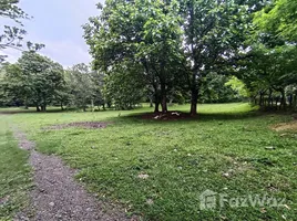  Terreno (Parcela) en venta en Costa Rica, Alajuela, Alajuela, Costa Rica