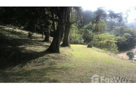  bedroom Land for sale at in Puntarenas, Costa Rica 