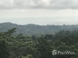 在Puntarenas出售的 土地, Osa, Puntarenas