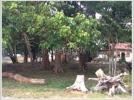 ທີ່ດິນ N/A ໃຫ້ເຊົ່າ ໃນ , ສະຫວັນນະເຂດ Land for rent in Naxaythong, Savannakhet
