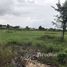  Земельный участок for sale in Buak Khang, Чианг Маи, Buak Khang