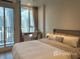 คอนโด 1 ห้องนอน ให้เช่า ในโครงการ คัลเจอร์ ทองหล่อ, คลองตันเหนือ, วัฒนา