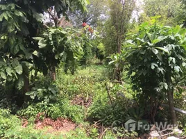 ขายที่ดิน ใน ตลาด, นครราชสีมา, ตลาด, เมืองนครราชสีมา