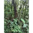  Land for sale in Costa Rica, Alajuelita, San Jose, Costa Rica