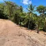ขายที่ดิน ใน ตลิ่งงาม, สุราษฎร์ธานี, ตลิ่งงาม, เกาะสมุย, สุราษฎร์ธานี