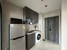 อพาร์ทเม้นท์ 2 ห้องนอน ให้เช่า ในโครงการ เอลลิโอ เดล เนสท์, บางนา