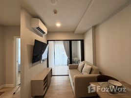 คอนโด 1 ห้องนอน ให้เช่า ในโครงการ เดอะ คิวบ์ อะเมซ, ศรีสุนทร, ถลาง