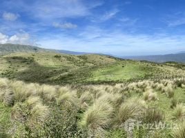  Land for sale in Argentina, Fray Mamerto Esquiu, Catamarca, Argentina