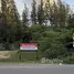  Land for sale in Thep Krasattri, Phuket, Thep Krasattri, Thalang, Phuket