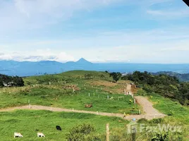 Terrain à vendre à San Carlos, Alajuela, San Carlos