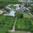  Land for sale in Choeng Thale, Thalang, Choeng Thale