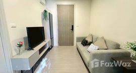 ยูนิตมือสองและให้เช่า