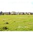  Land for sale at Valdivia, Mariquina, Valdivia