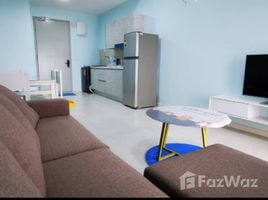 Studio Condo for rent at D House, Bau, Bau, Sarawak, Malaysia