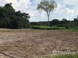  Terreno for sale in Amazonas, Amaturá, Amazonas