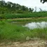  Terreno (Parcela) en venta en Lum Khao, Lop Buri, Lum Khao