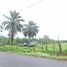  Terreno (Parcela) en venta en Sarapiqui, Heredia, Sarapiqui