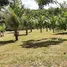  Terrain for sale in Balbina, Presidente Figueiredo, Balbina