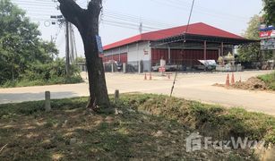 N/A Grundstück zu verkaufen in San Pu Loei, Chiang Mai 