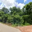  Land for sale in Mueang Nakhon Phanom, Nakhon Phanom, Nong Yat, Mueang Nakhon Phanom