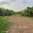  Land for sale in Thalang Phuket, Choeng Thale, Thalang, Phuket