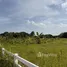  Land for sale in Nong Khwai, Chiang Mai, Nong Khwai, Hang Dong, Chiang Mai