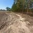  Land for sale in Noen Khi Lek, Nakhon Sawan, Noen Khi Lek