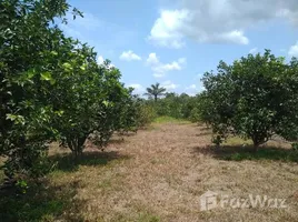  Terrain for sale in Autazes, Amazonas, Autazes