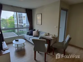 1 Habitación Apartamento en alquiler en Tempo One Ramkamhaeng-Rama 9, Hua Mak, Bang Kapi, Bangkok