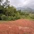  Land for sale in Jimenez Cartago, Jimenez, Cartago