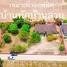 4 Bedroom House for sale in Nikhom Phatthana, Rayong, Nikhom Phatthana, Nikhom Phatthana