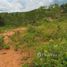  Land for sale in Amazonas, Tefe, Amazonas